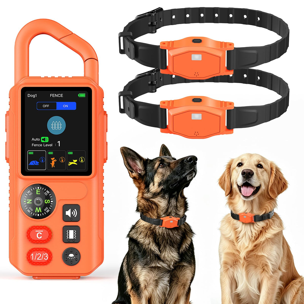 Pawton Animal Collar in Medium, Large, Orange for 2 Dogs