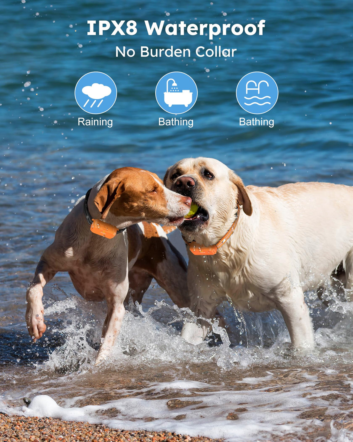 Jugbow Animal Collar in 2 Count (Pack of 1), Orange 2 pack
