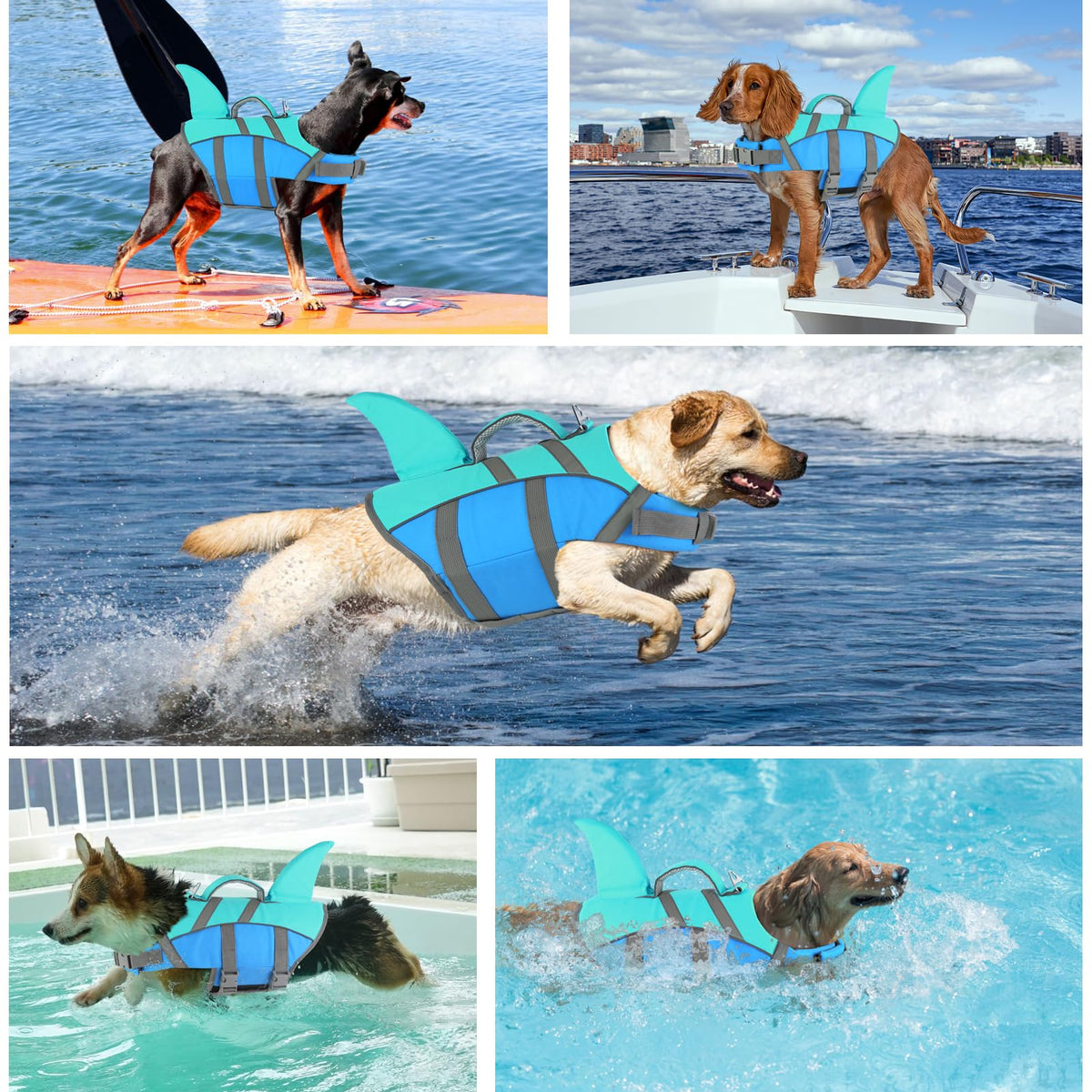 Doglay Pet Apparel in X-small, Blue+Aquagreen