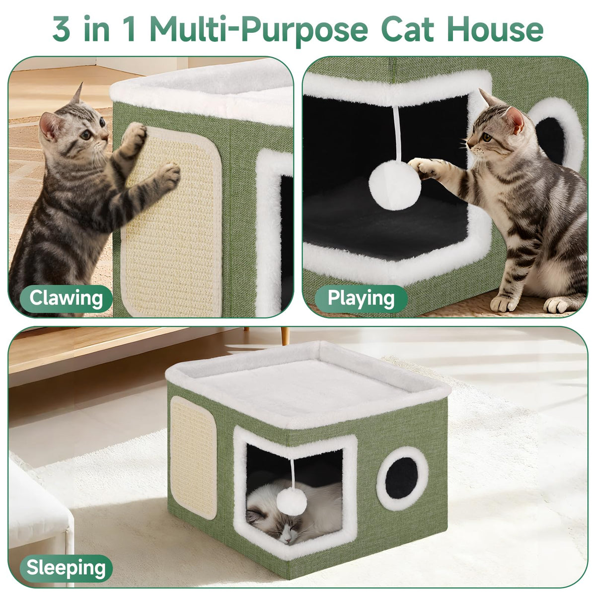 Shikha Animal Shelter in Large, Green