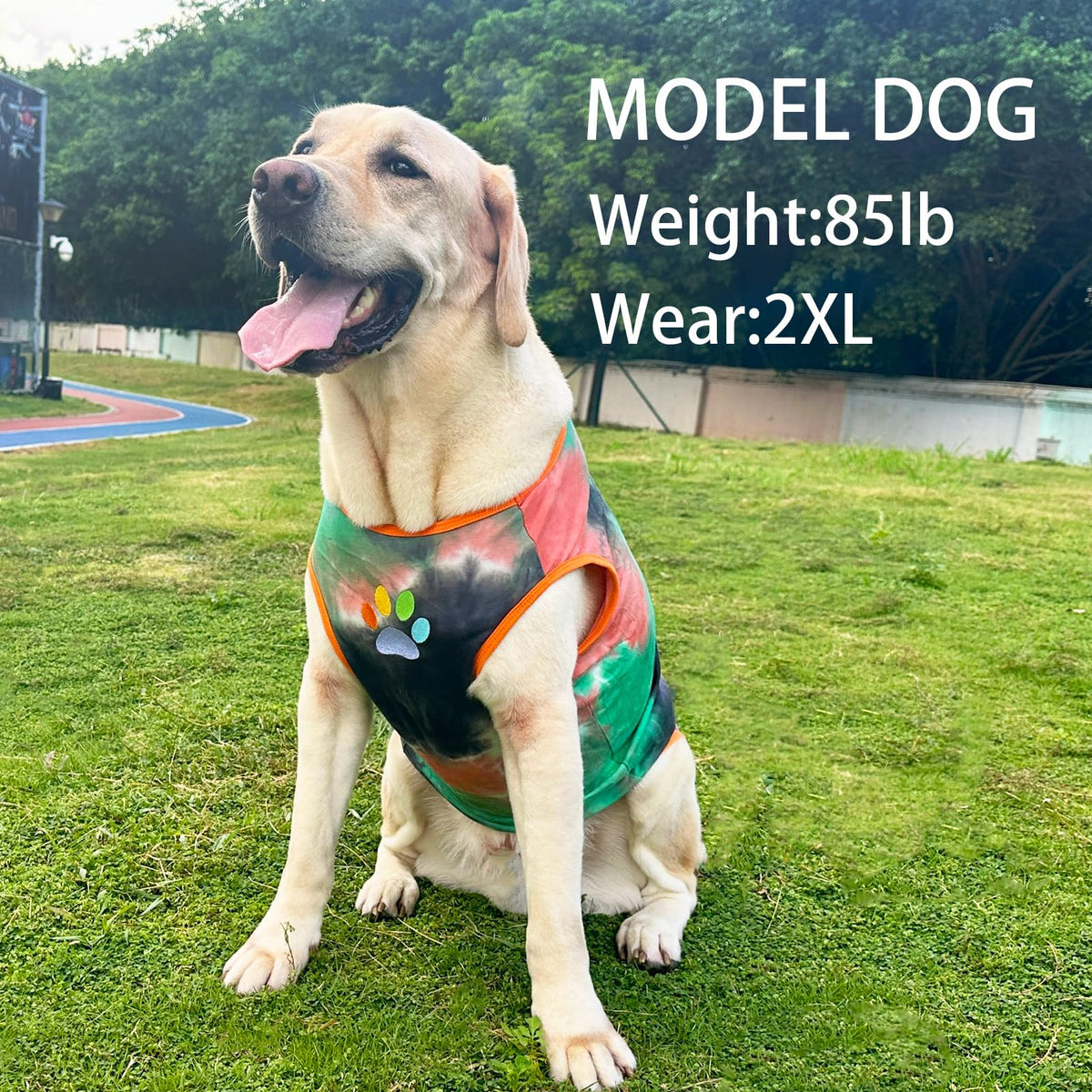 PriPre Pet Apparel in Medium, Vest Green