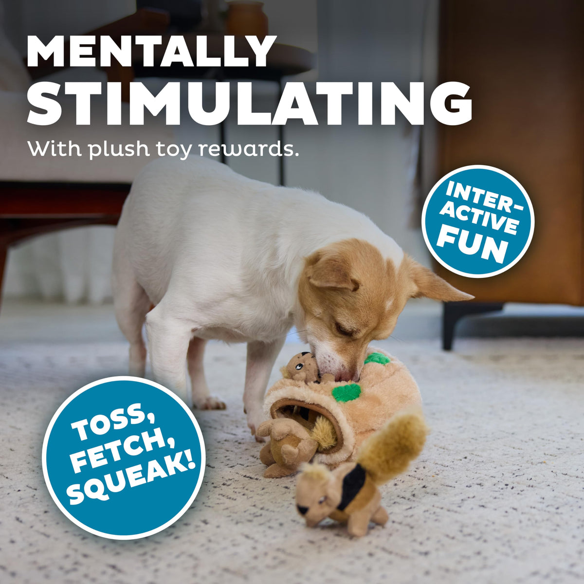 Outward Hound Pet Toy in Small (Pack of 1), Squirrel Small