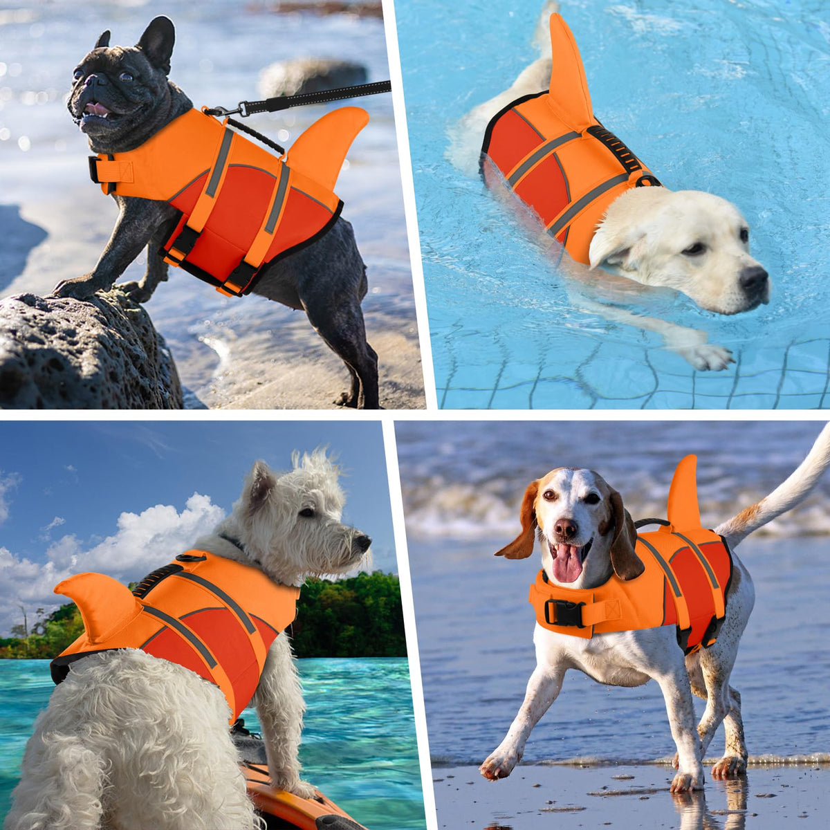 Doglay Pet Apparel in X-small, Orange-New