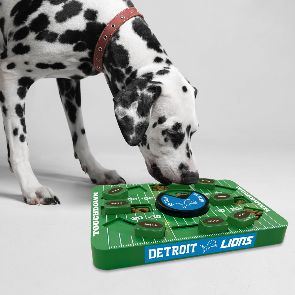 Pets First Pet Feeder in Large, DETROIT LIONS