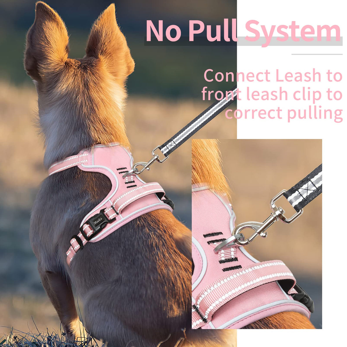HEELE Animal Harness in XS, Pink