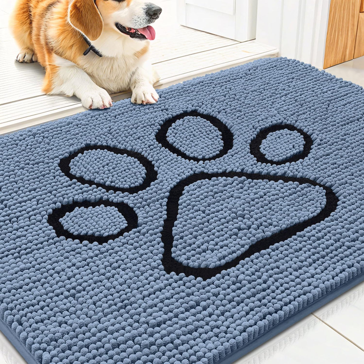 Smiry Rug in 30"X20", Airy Blue and Black