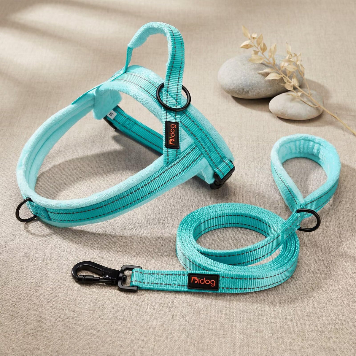 Didog Leash in 3/4''x 6 FT, Teal