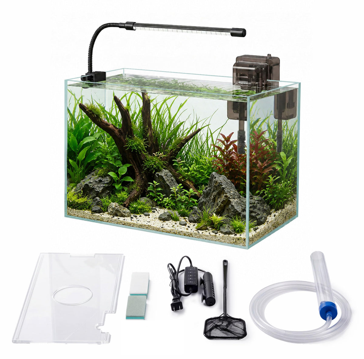 minilake Vivarium in 5 Gallon, Transparent