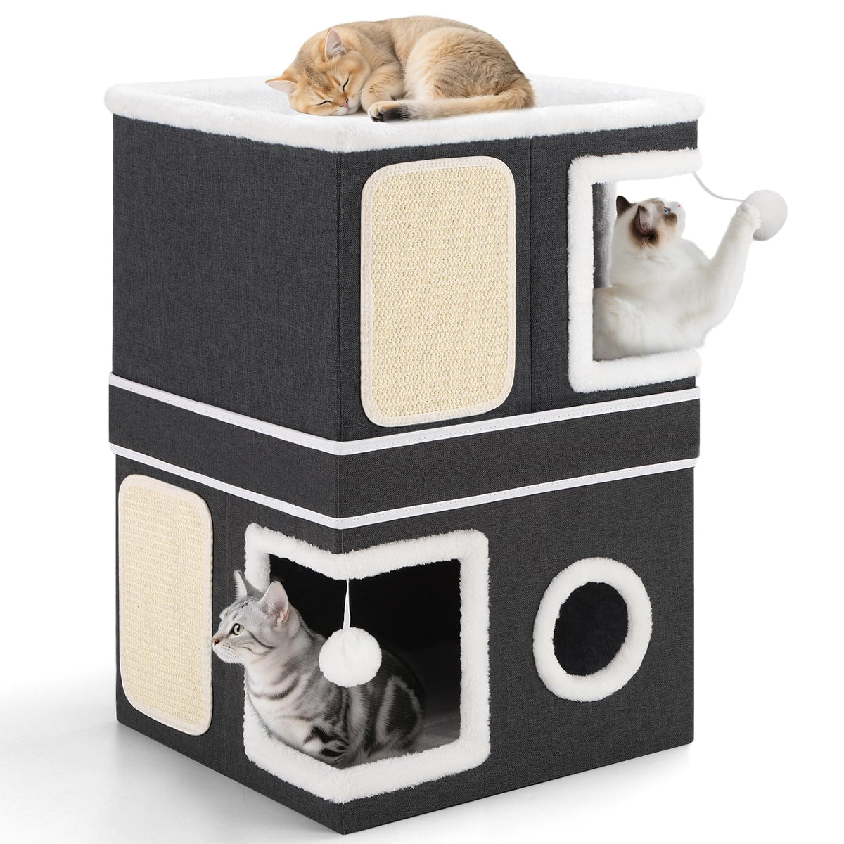 Shikha Animal Shelter in Double, Black