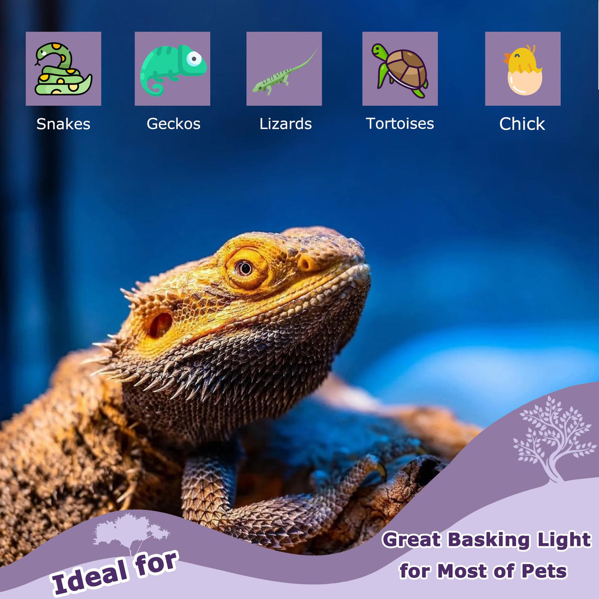 HARTOMPET Light Bulb in 60W - 2.5", Purple