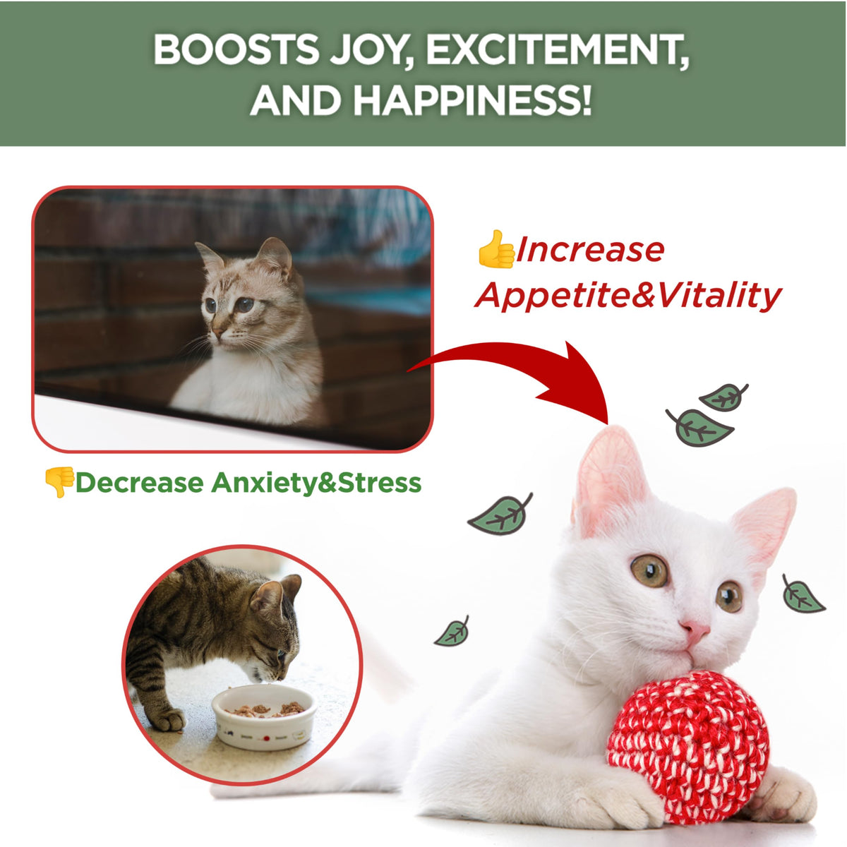 JAYU PET Pet Toy in 1fl oz, Catnip