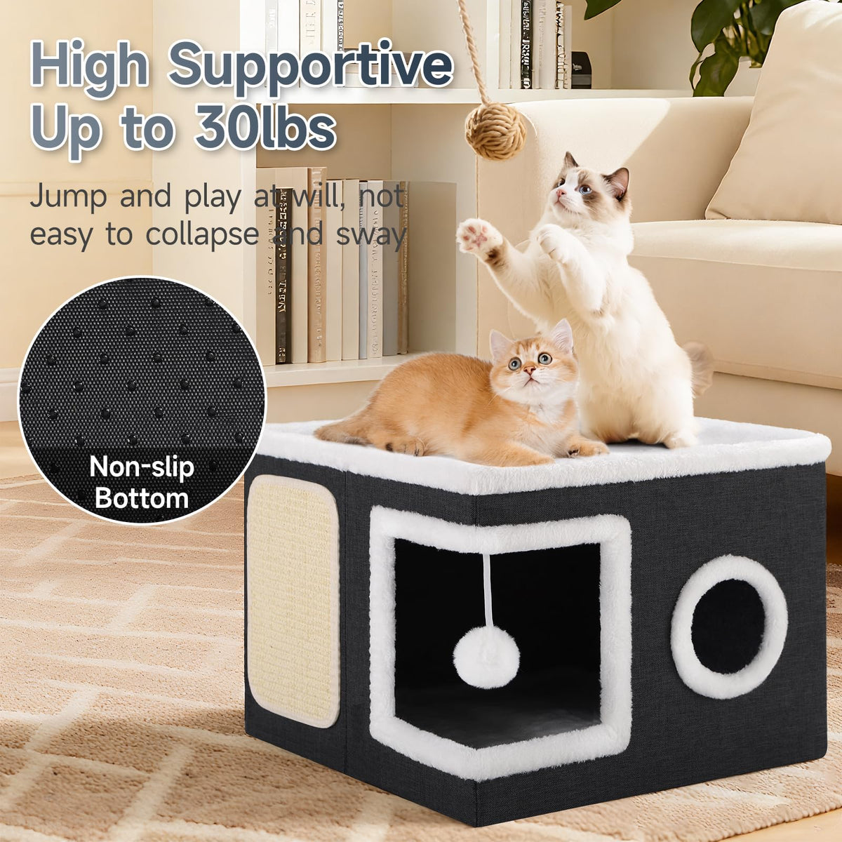 Shikha Animal Shelter in Large, Black
