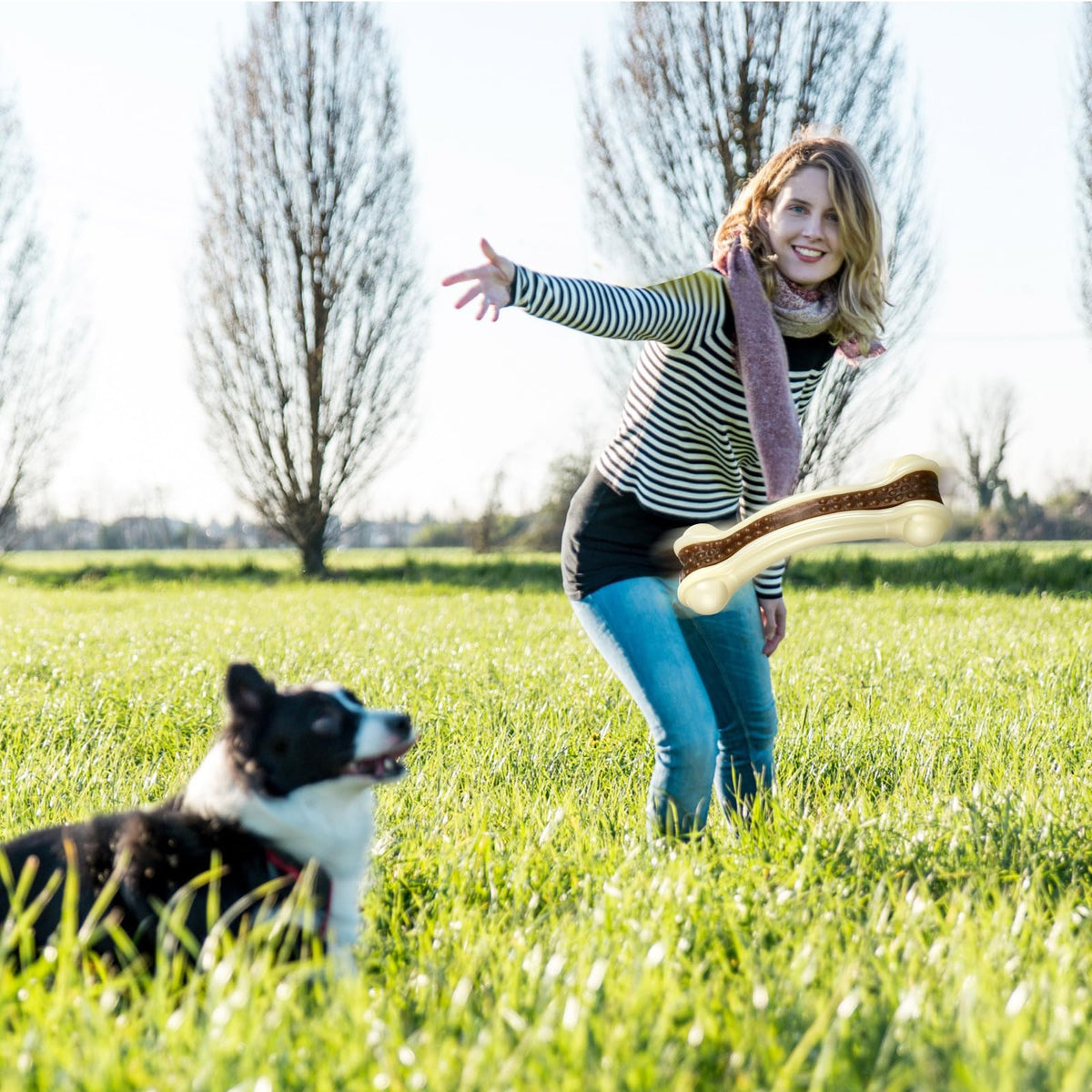 Sosation Pet Toy in Small, as shown