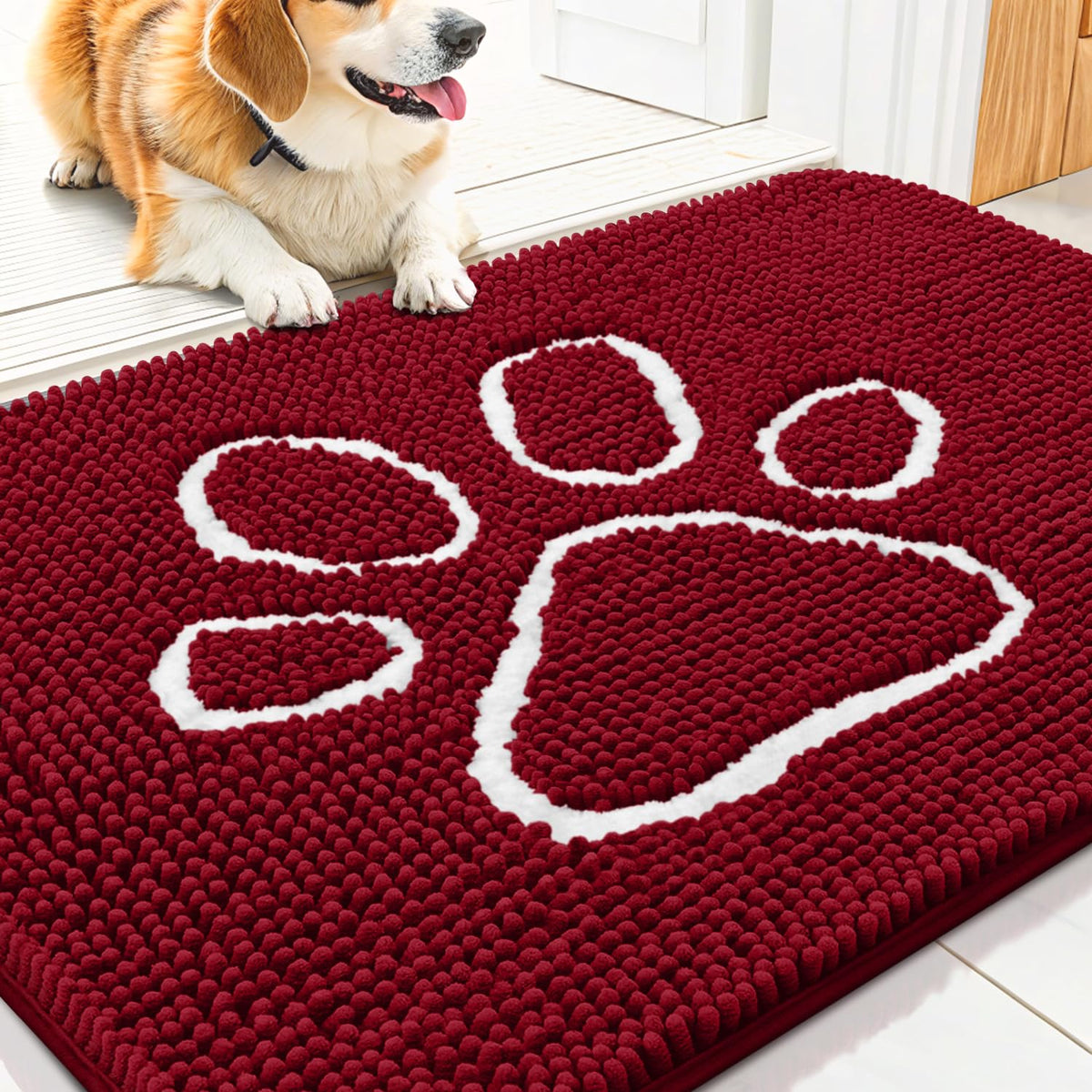 Smiry Rug in 30"X20", Red and White