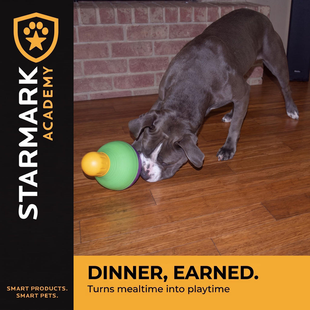 Starmark Pet Toy in Large, Green