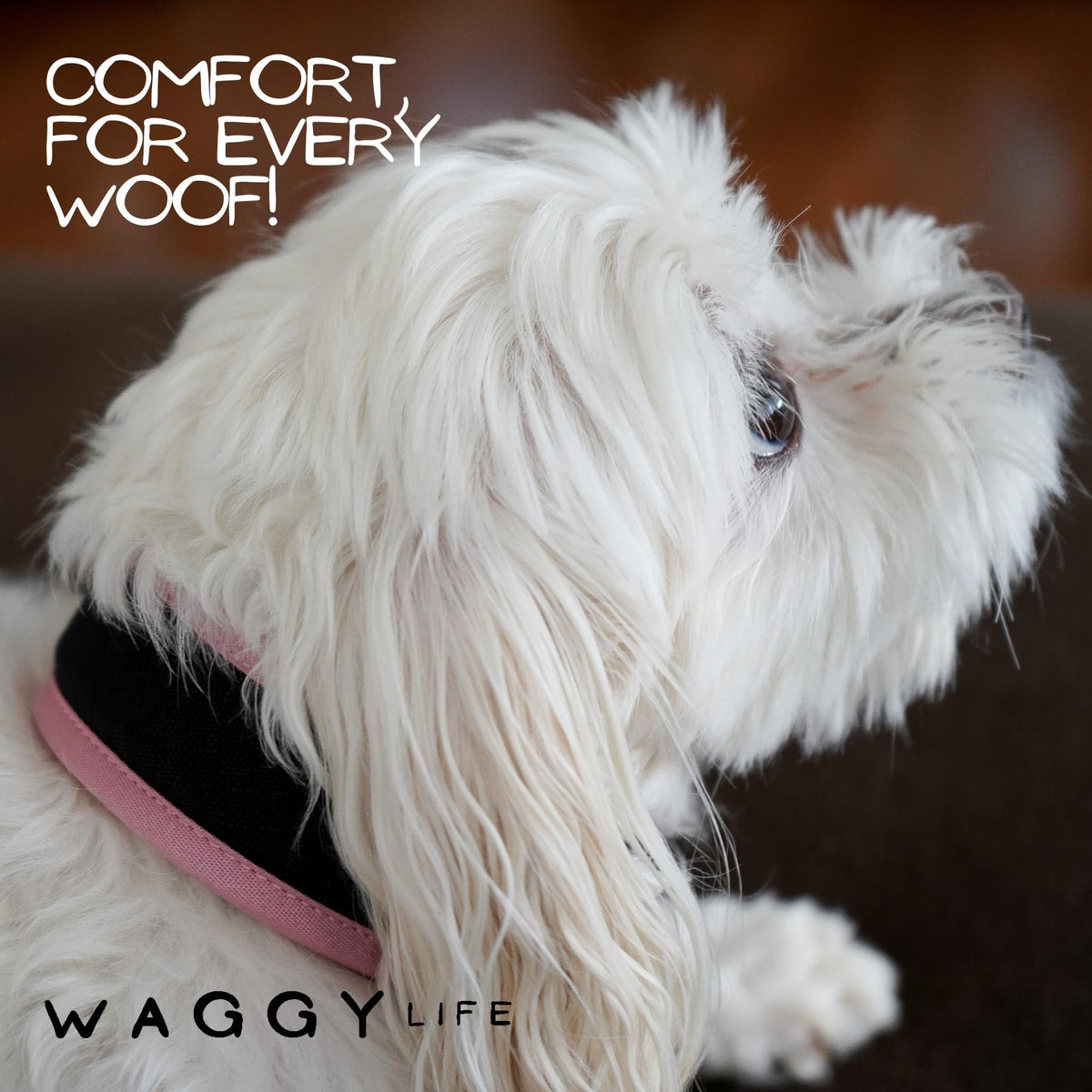 WaggyLife Animal Collar in XS (11.8"-13.8"), Pink