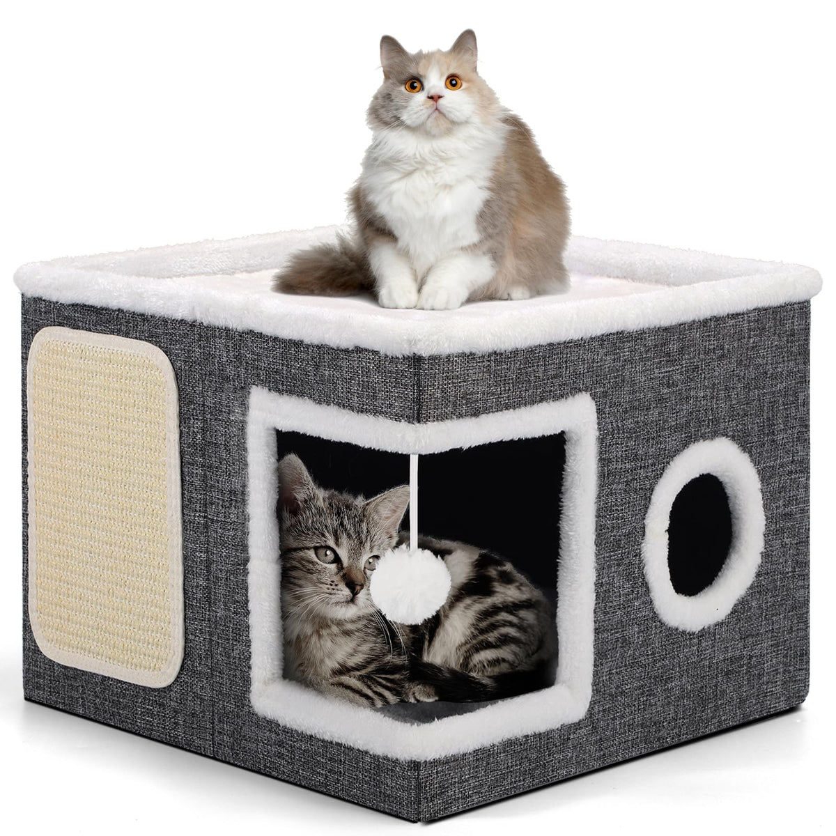 Shikha Animal Shelter in Large, Grey
