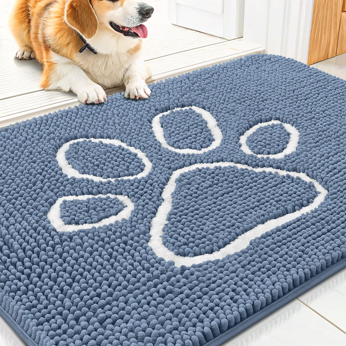 Smiry Rug in 30"X20", Airy Blue and White