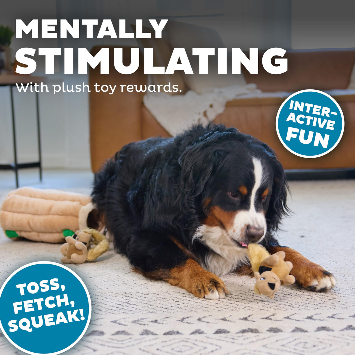 Outward Hound Pet Toy in X Large (Pack of 1), Squirrel Xlarge