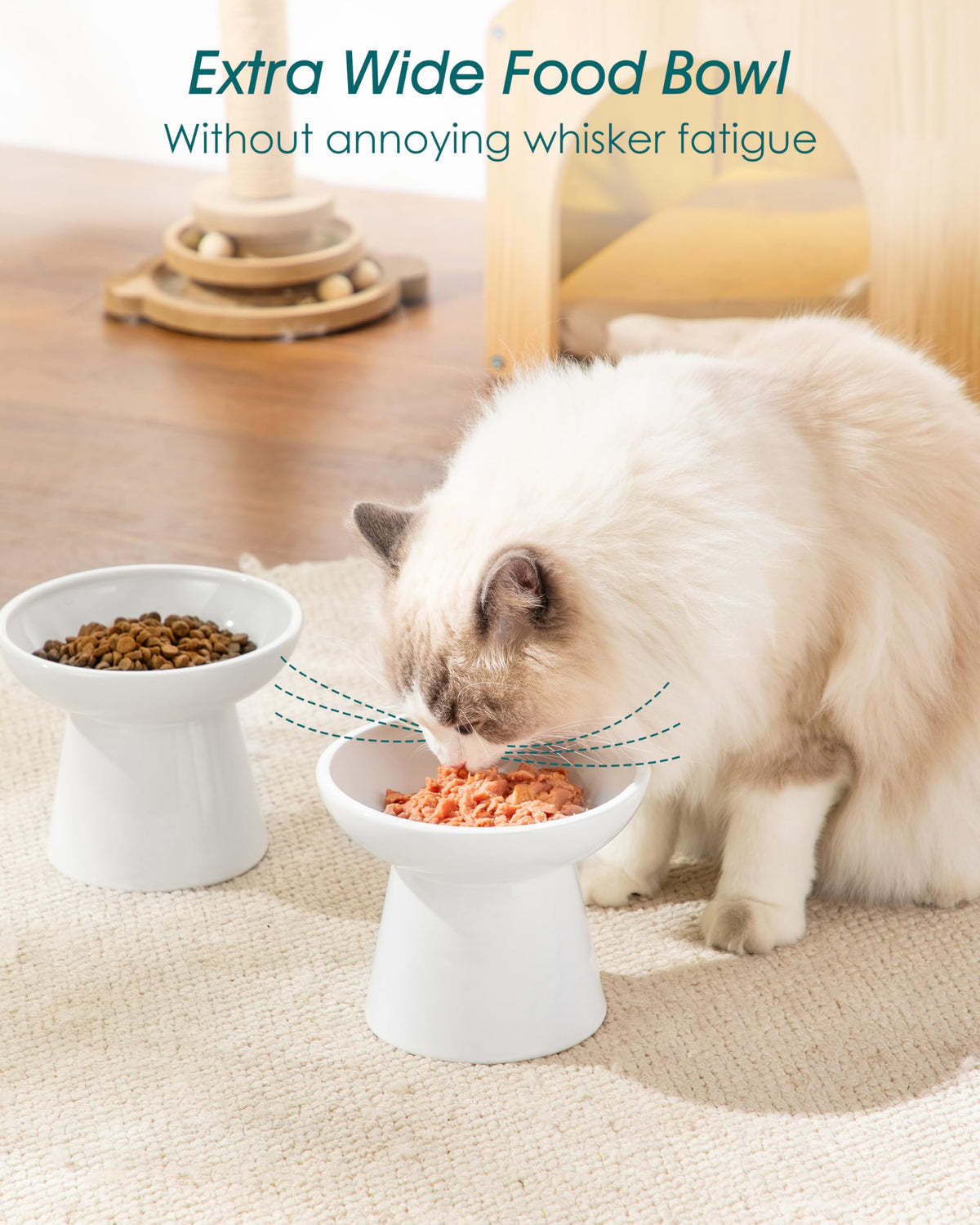 vancasso Pet Feeder in 2 Pack-Food Bowls, White