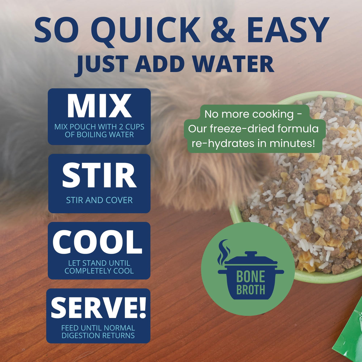 Under the Weather Pet Food in 6 Ounce (Pack of 1)