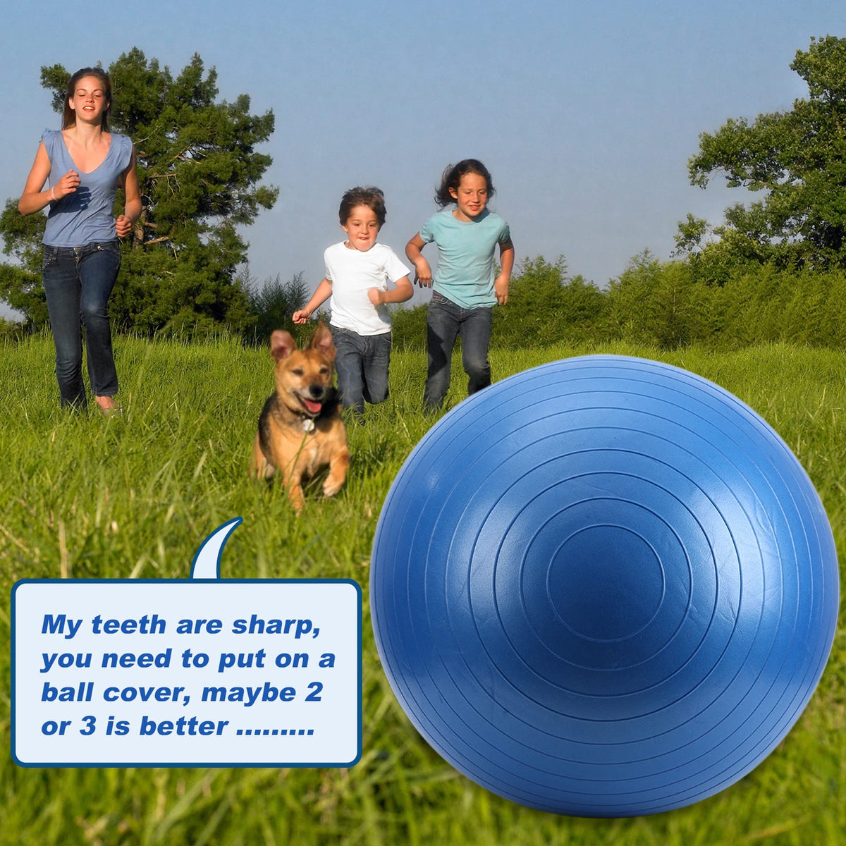 SWYIVY Recreation Ball in 40 Inch, Blue