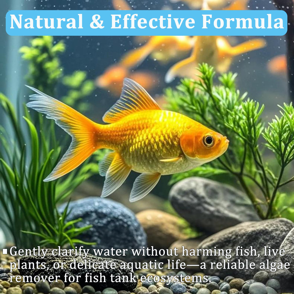 LeoTube Aquarium Pond Water Treatment in 1, White