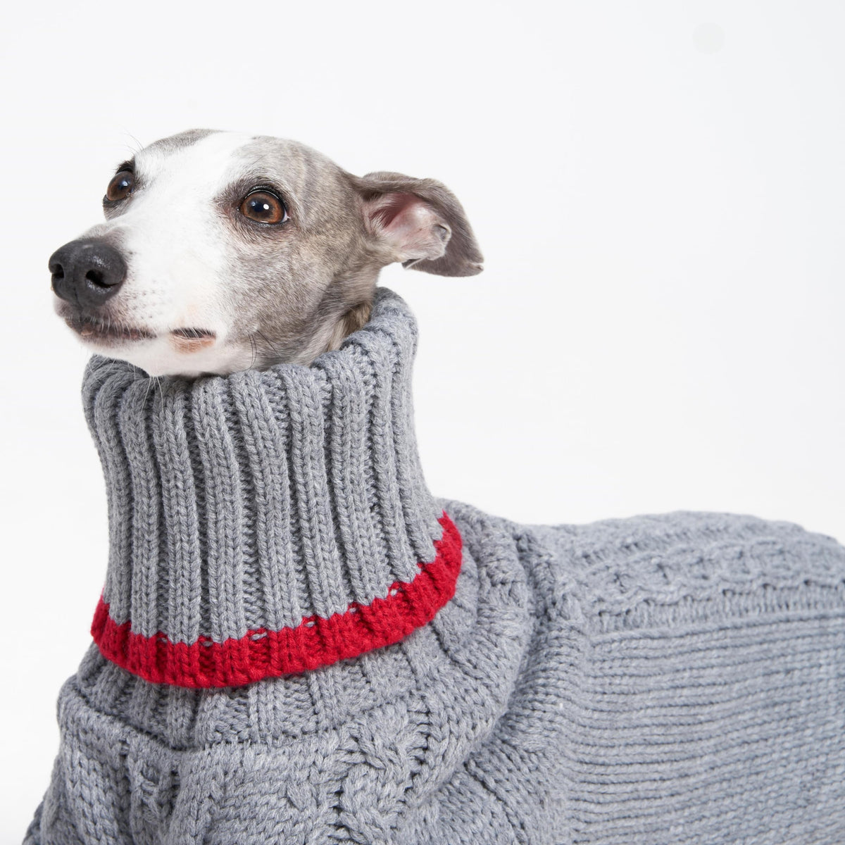 ESCCBOO Pet Apparel in Small, Grey