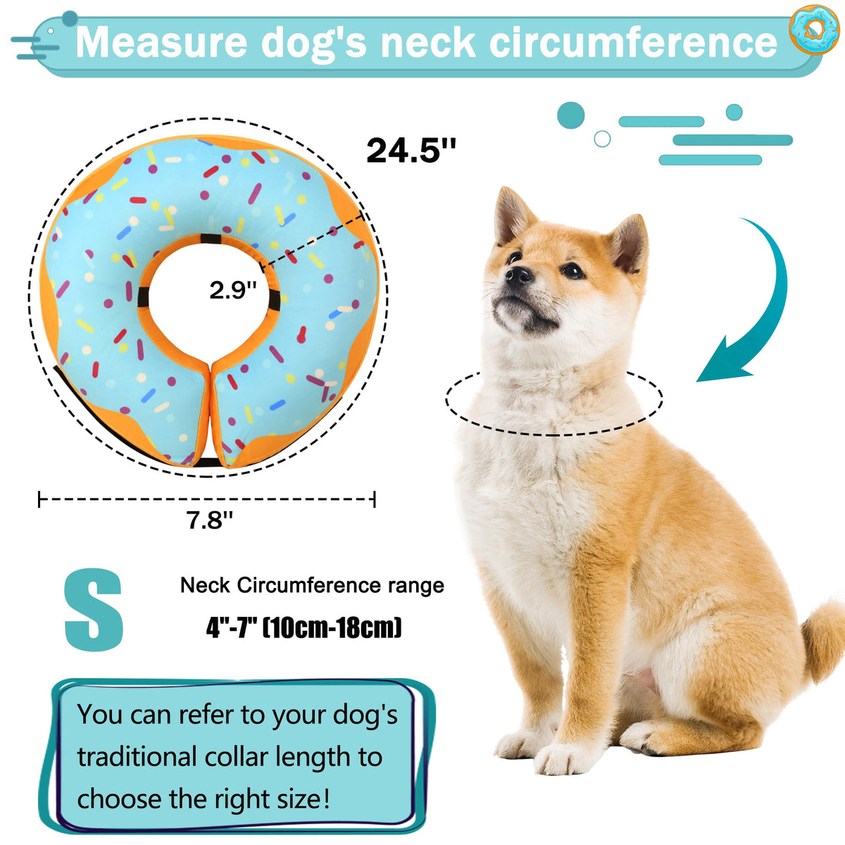 Cneo Animal Recovery Collar Cone in S（neck 4"-7"）, Blue