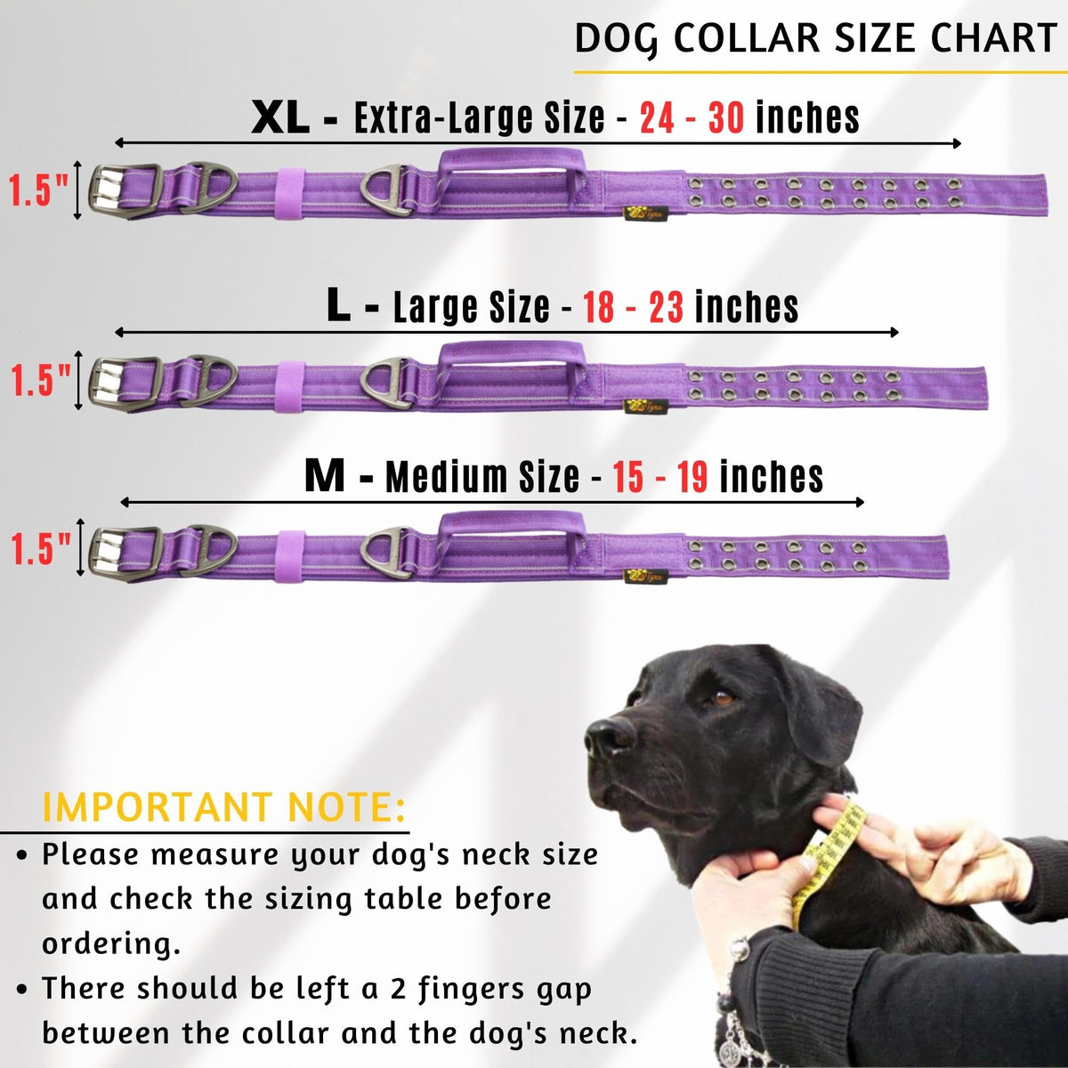 ADITYNA Animal Collar in Extra-Large: Fit 24-30" Neck, Purple