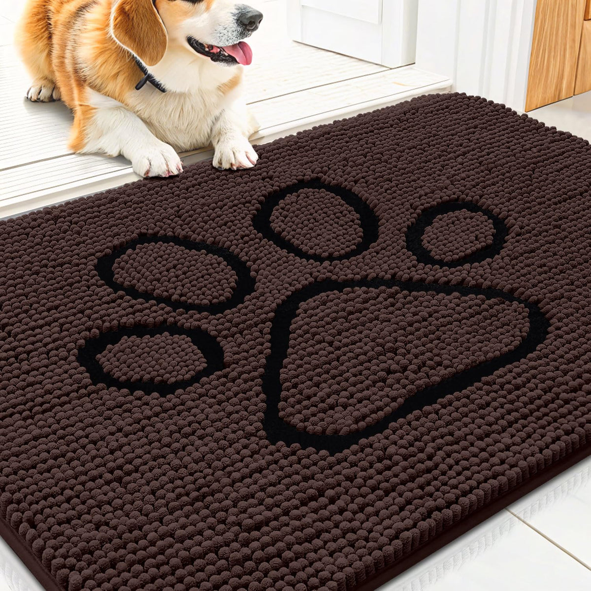 Smiry Rug in 30"X20", Brown and Black
