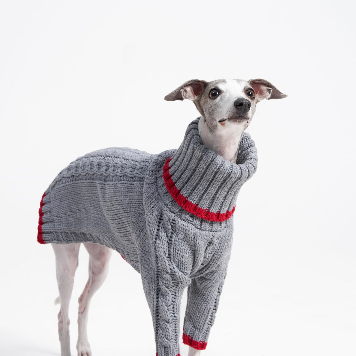 ESCCBOO Pet Apparel in Medium, Grey