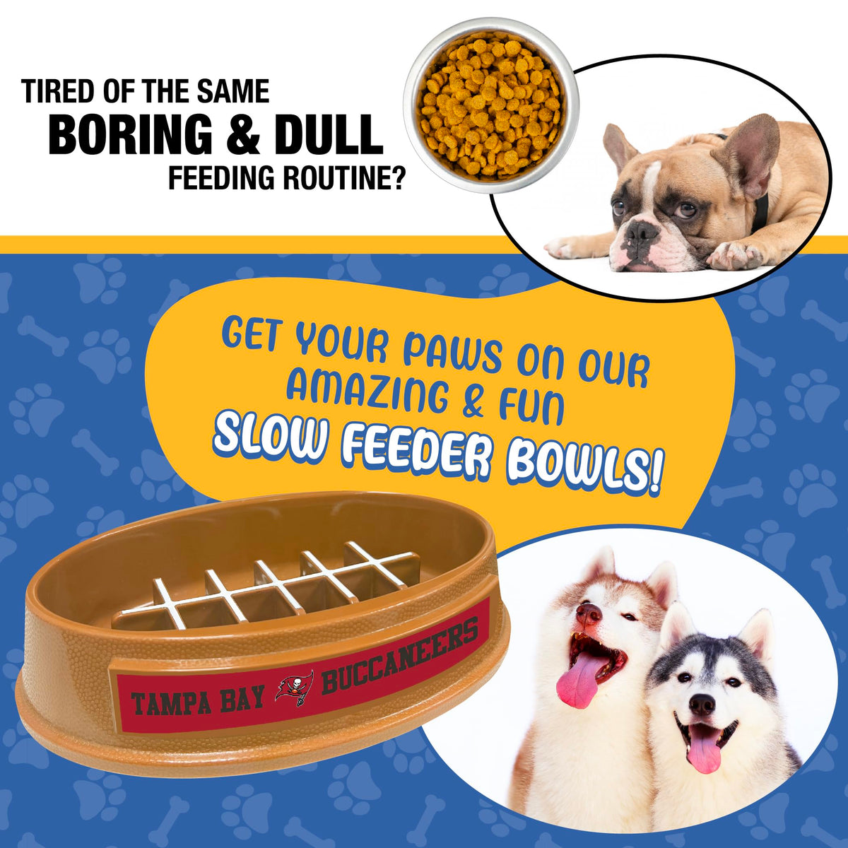 Pets First Pet Feeder in Tampa Bay Buccaneers