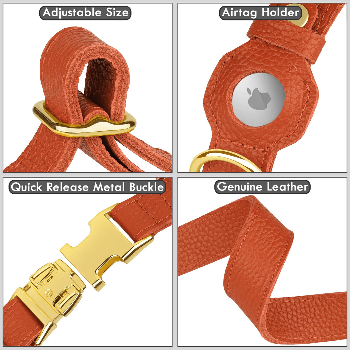 BUDKAS Animal Collar in XS, 9"-12" Neck Fit, Orange