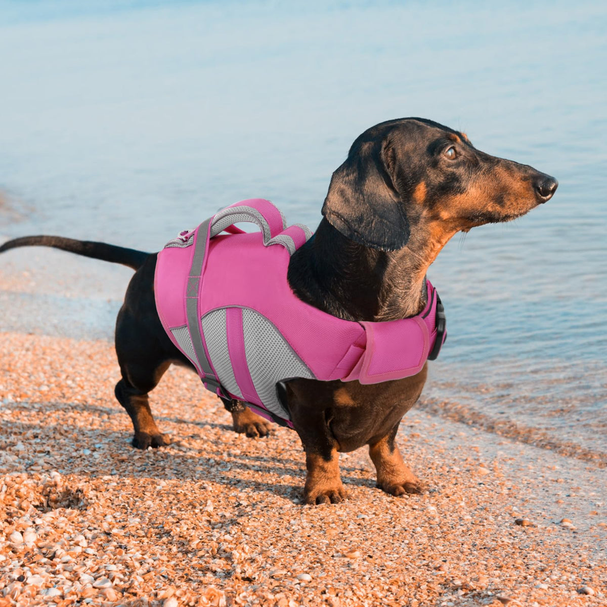 Queenmore Pet Apparel in X-Small, Pink