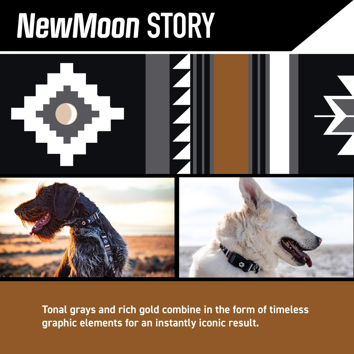 Wolfgang Man & Beast Animal Collar in Small (5/8 Inch x 8-12 Inch), NewMoon Print