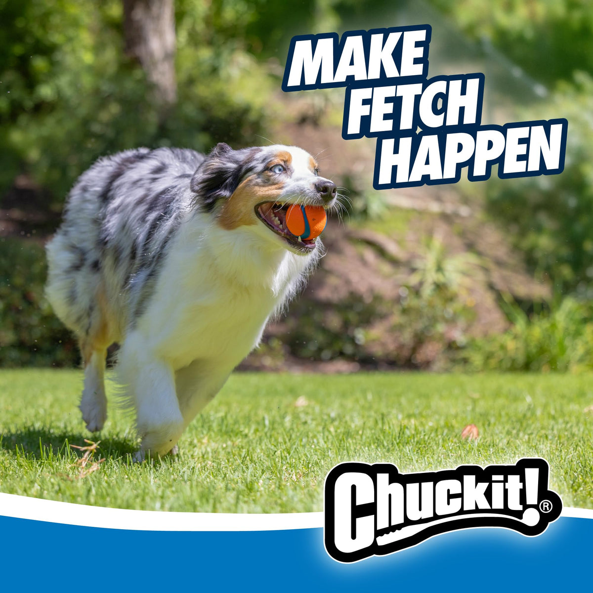 Chuckit! Pet Toy in Medium, Ultra