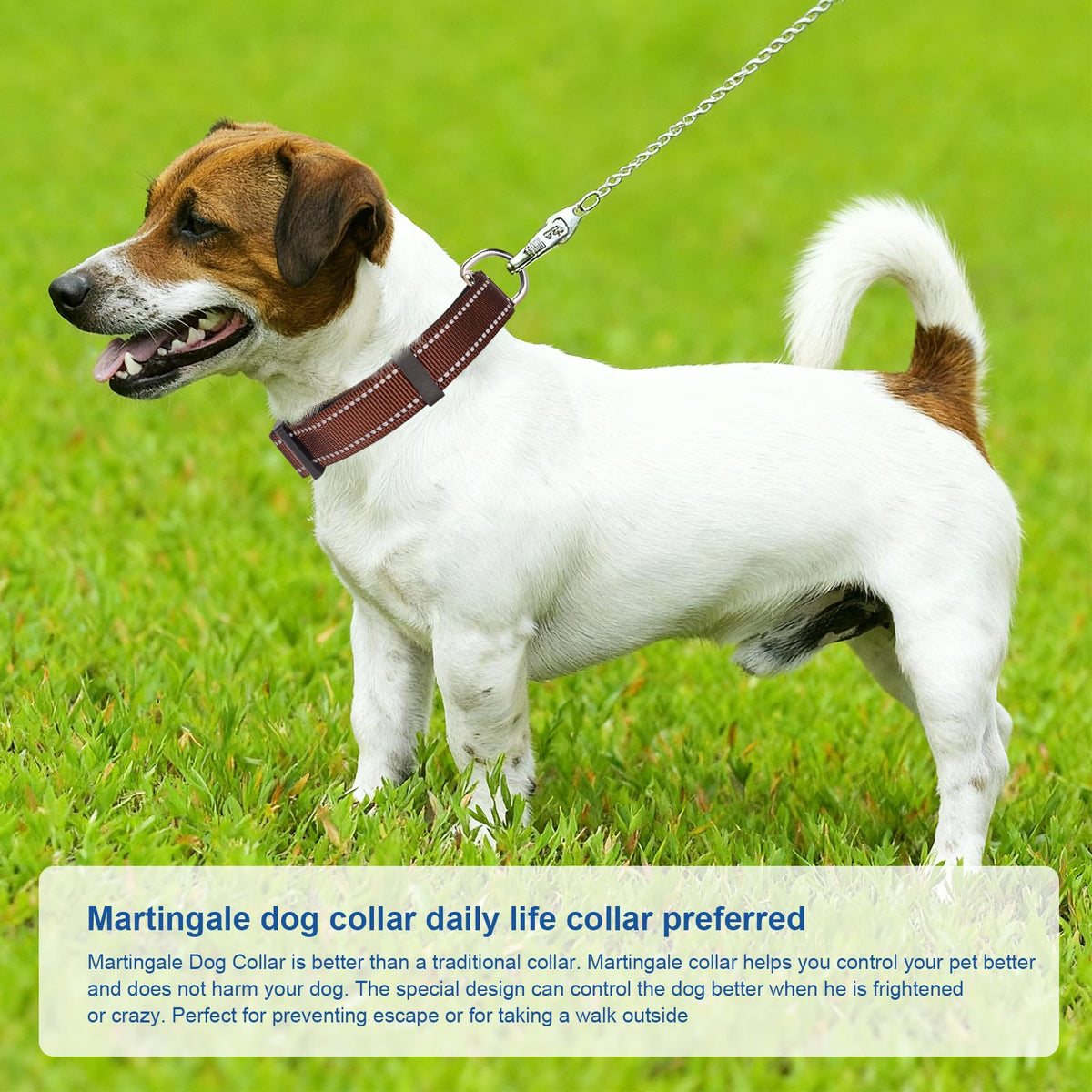 GDLKPS Animal Collar in XS:3/4" Wide for 11.5"-13.5" Neck, Coffee