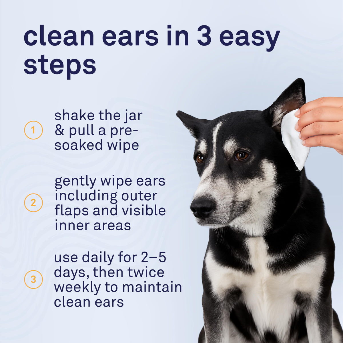 Petpost Pet Supplies in Large, Ear