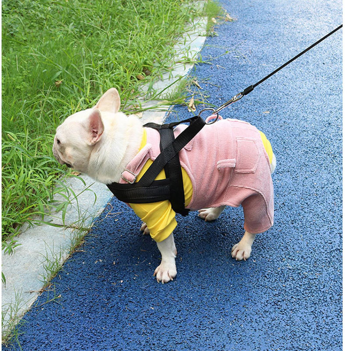 PAPIEEED Pet Apparel in S, Pink