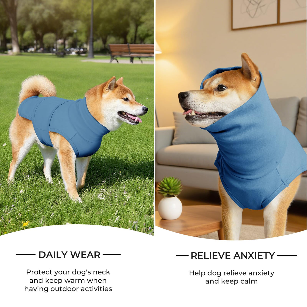 Haloumoning Pet Apparel in X-Small, Blue