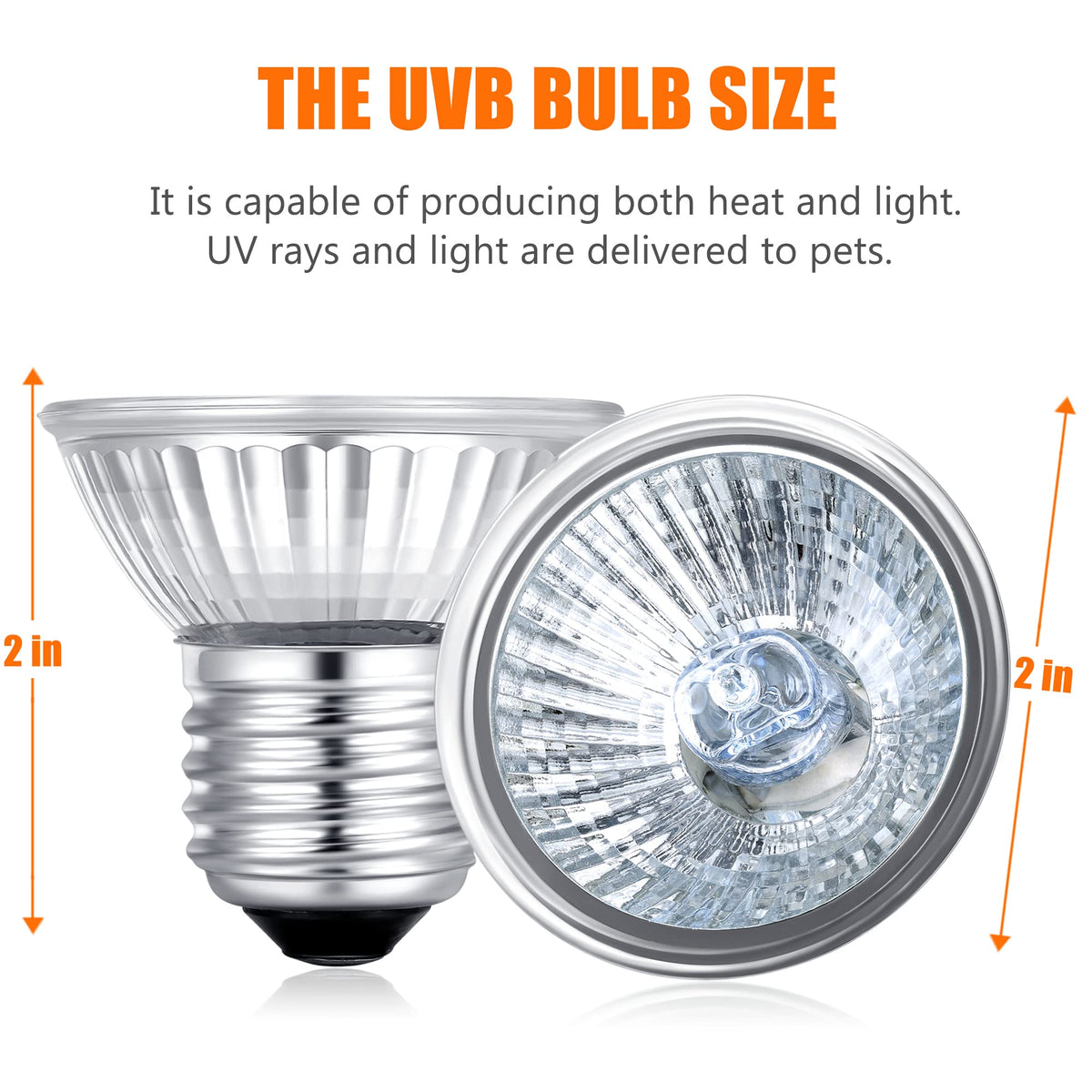 Fischuel Light Bulb in 2 Count (Pack of 1), 50w Bulb