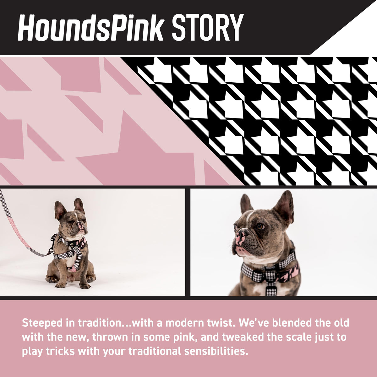 Wolfgang Man & Beast Animal Harness in Small (5/8 Inch x 12-18 Inch), HoundsPink Print
