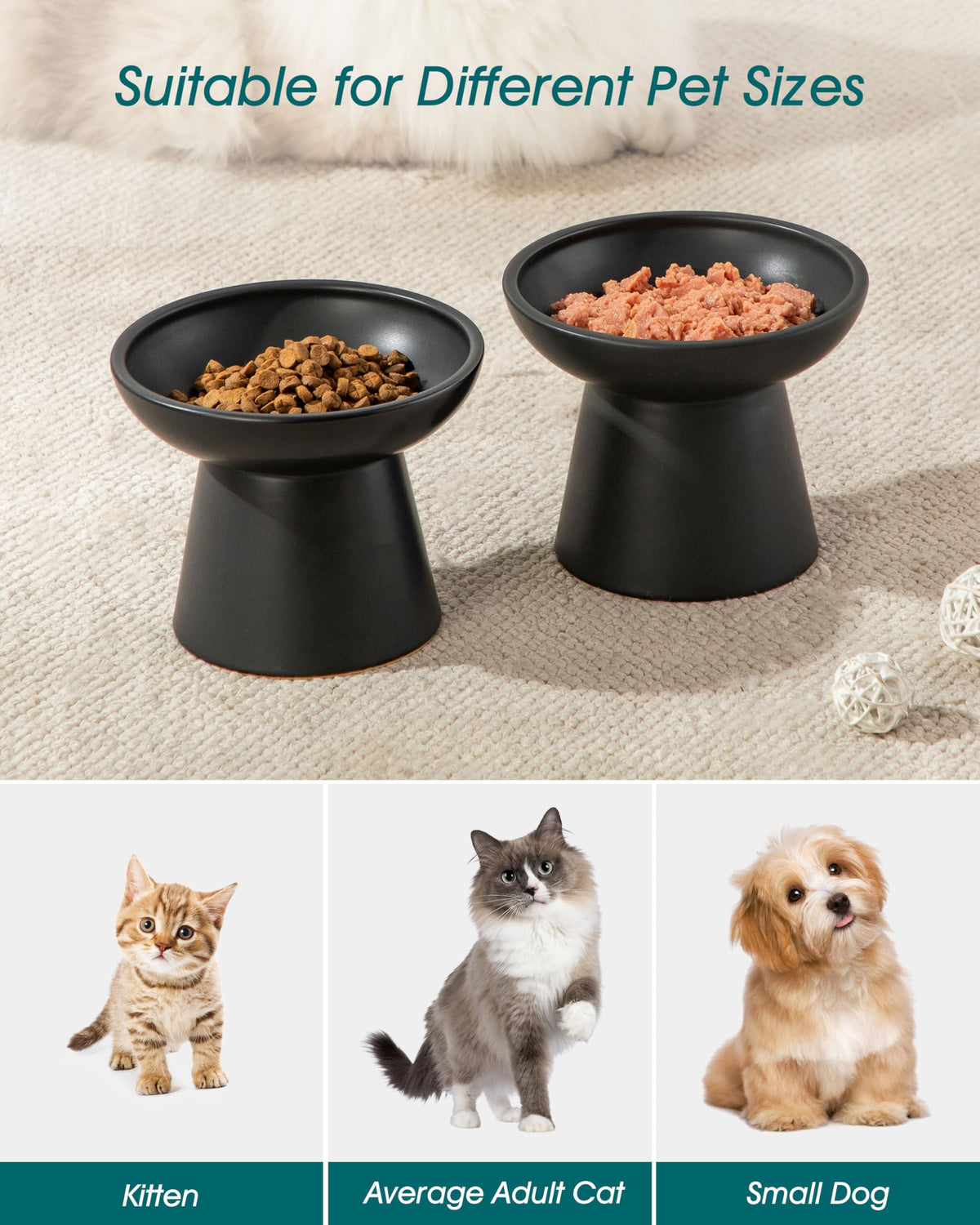 vancasso Pet Feeder in Black