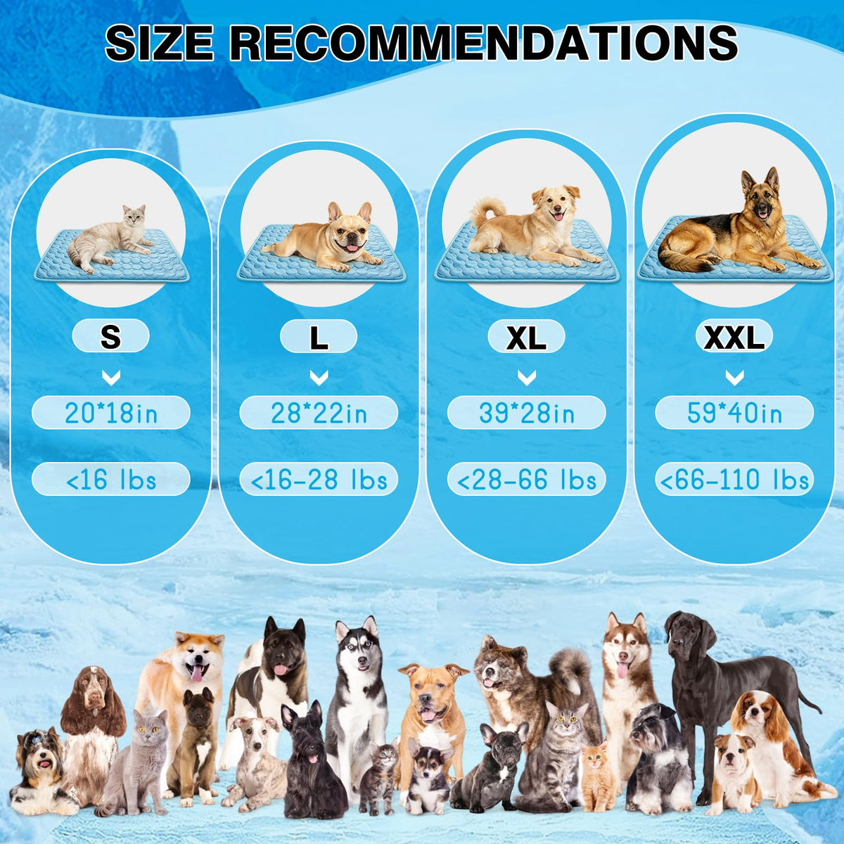 XinChangShangMao Pet Bed Mat in Small 20''×16'', Blue