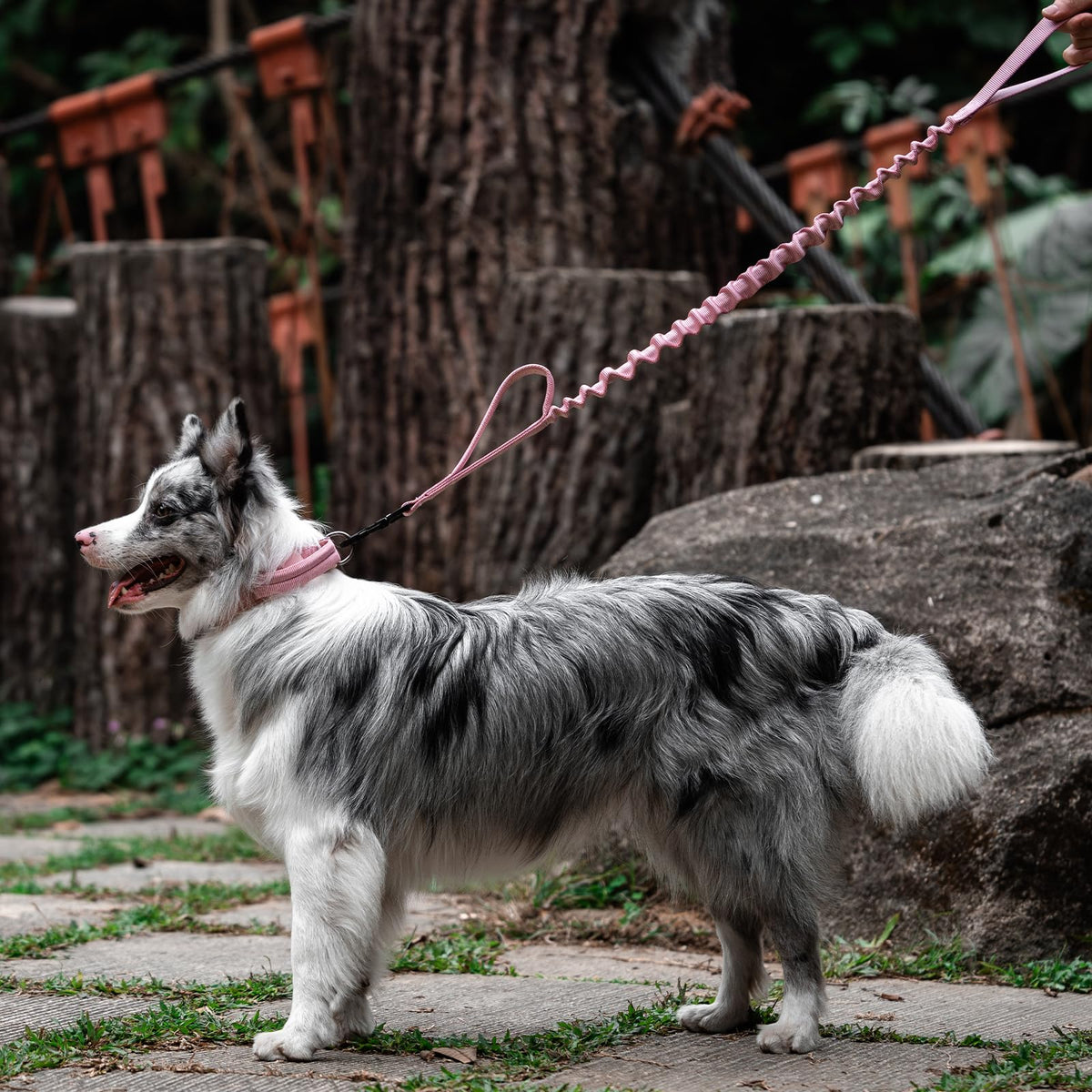ONETIGRIS Leash in 85cm-118cm/33.5in-46.5in, Pink