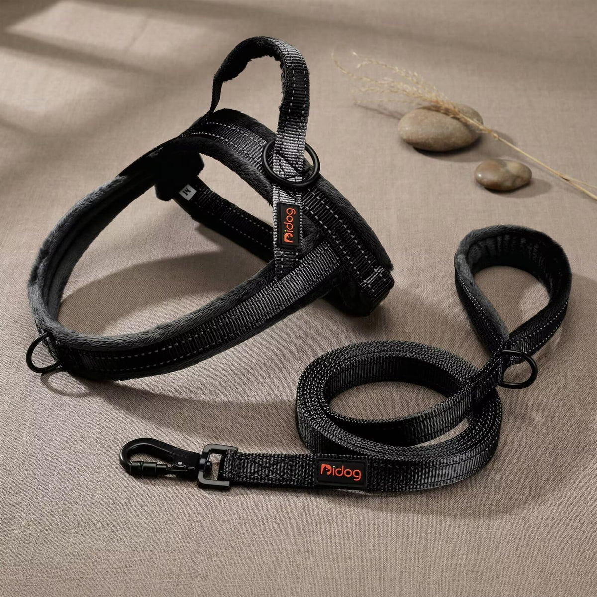 Didog Leash in 3/4''x 4 FT, Black