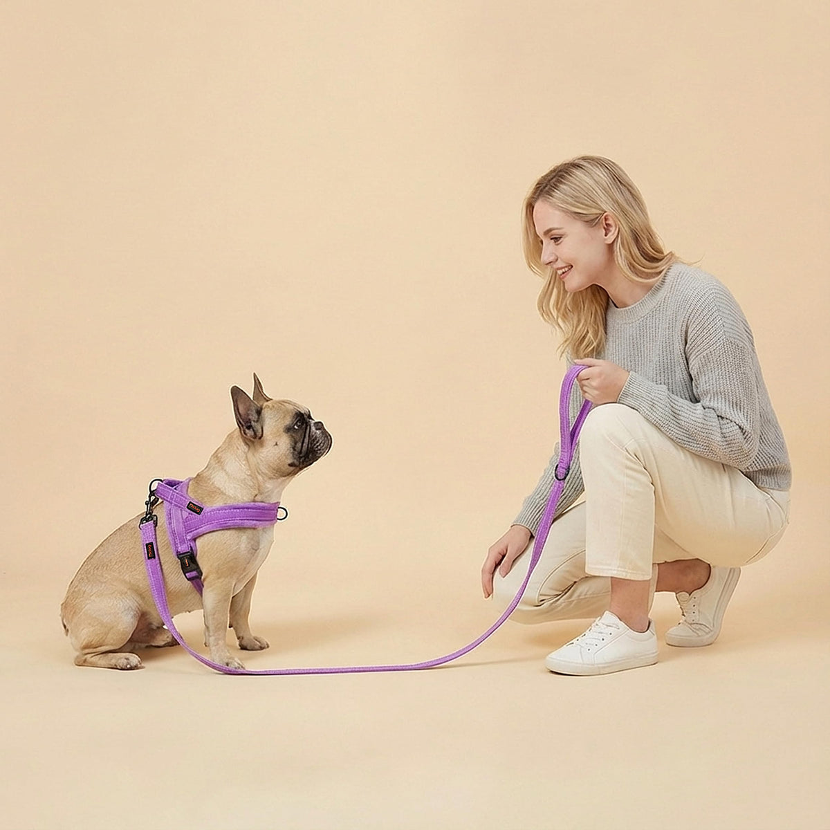 Didog Leash in 5/8''x 6 FT, Purple