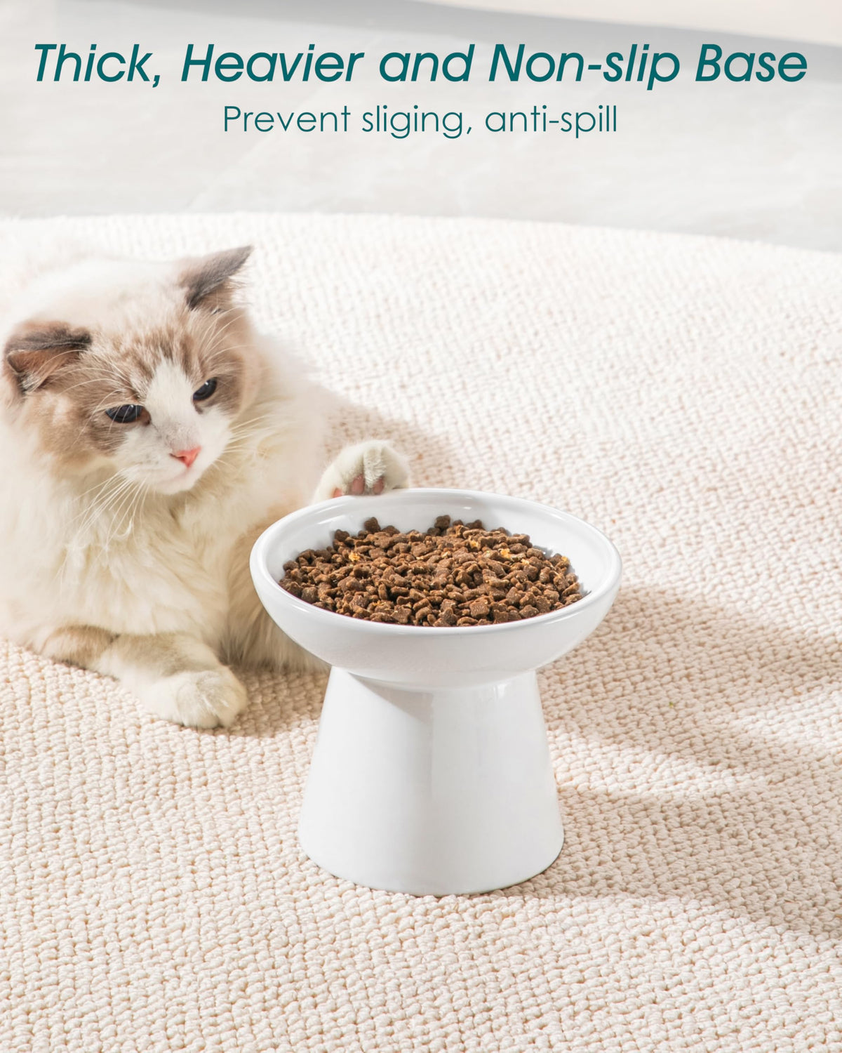 vancasso Pet Feeder in 2 Pack-Food & Water Bowls, White