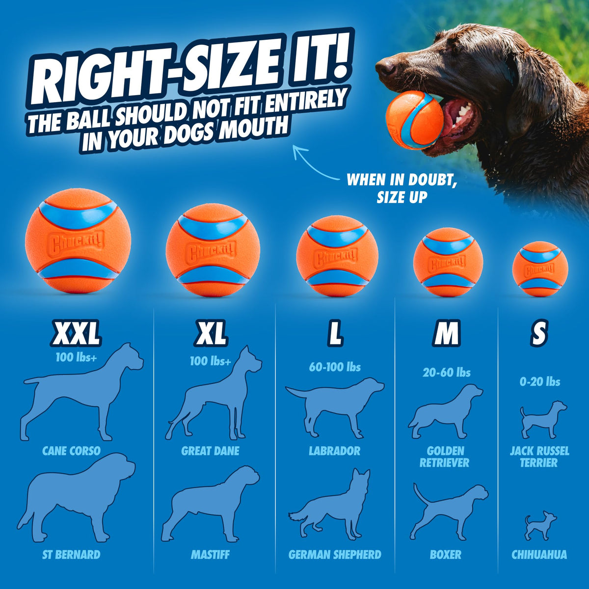 Chuckit! Pet Toy in Medium, Ultra